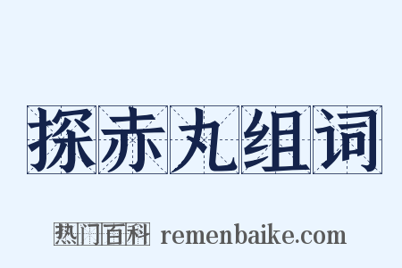 探赤丸组词是什么意思的图片